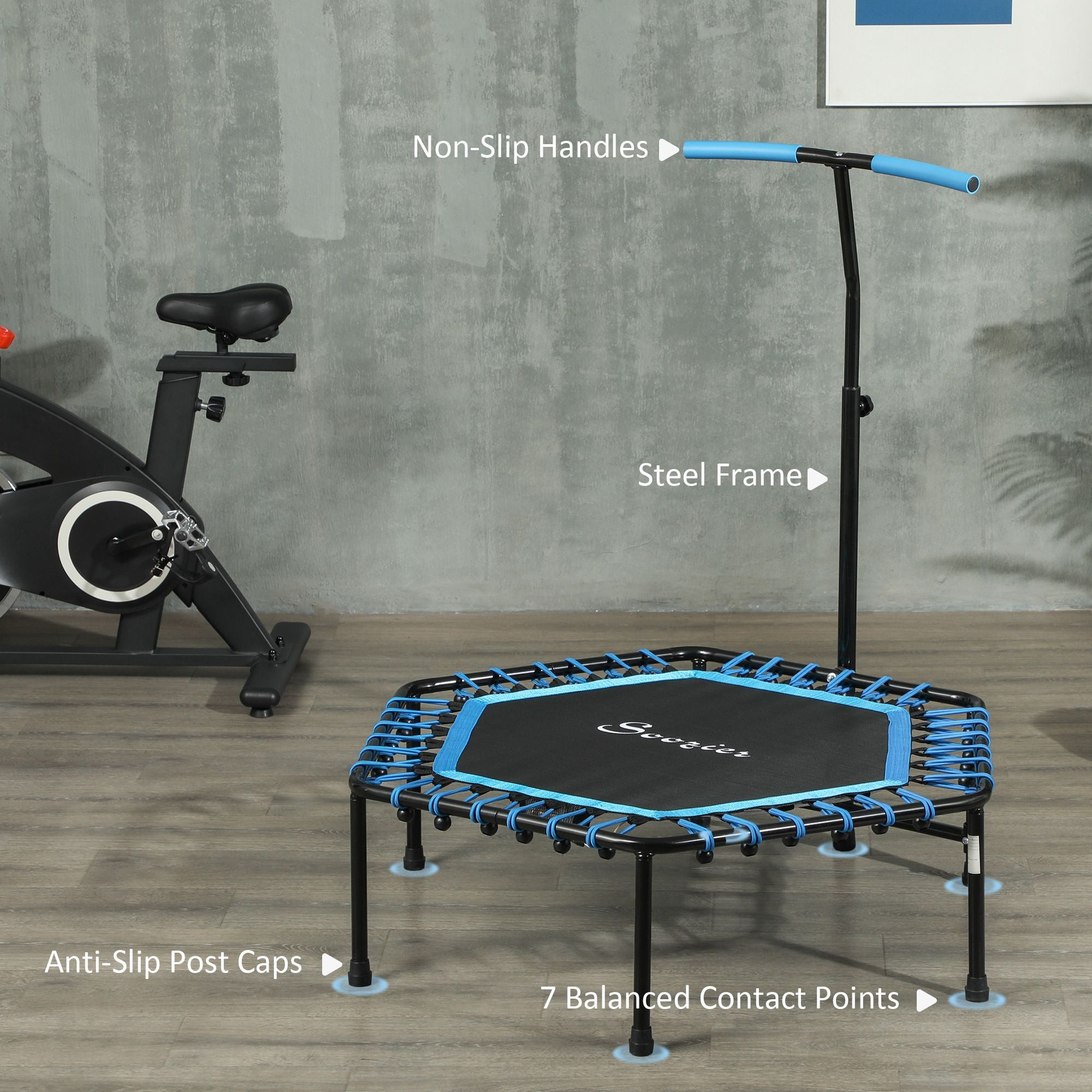 Rebounder with highlighted features.